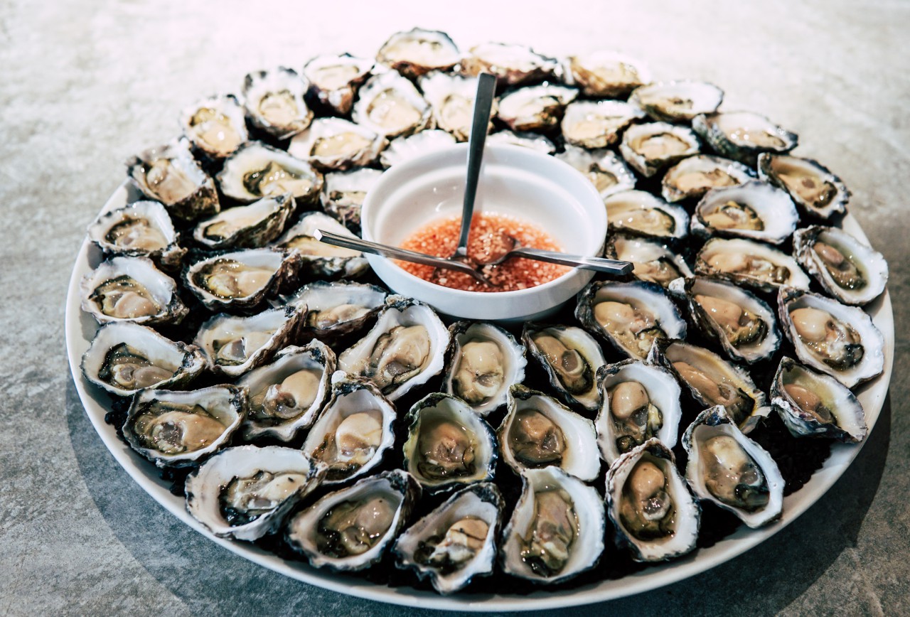 Oysters - Safari Lounge Houston